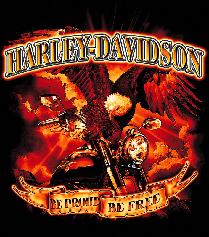 	Harley Davidson Logo,Harley Davidson Logo 2011, Hot Harley Davidson Logo, New Harley Davidson Logo 2011, Celebrity Harley Davidson Logo	
