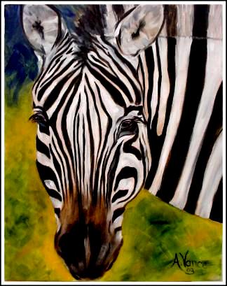 Zebra