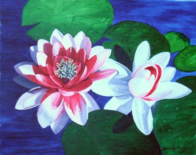 Waterlily