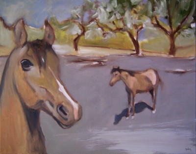 Horses