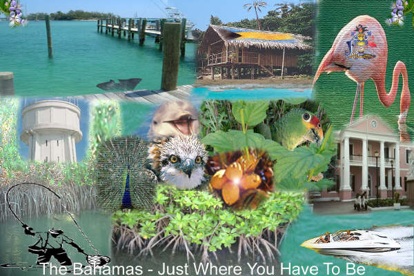 Bahama-land