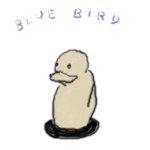 bluebird