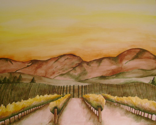 Vineyard