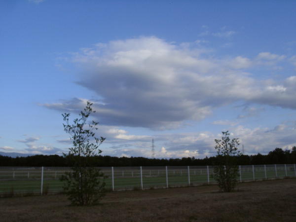 Sky