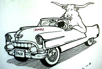 Steer
