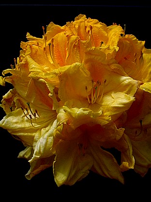 F042500x