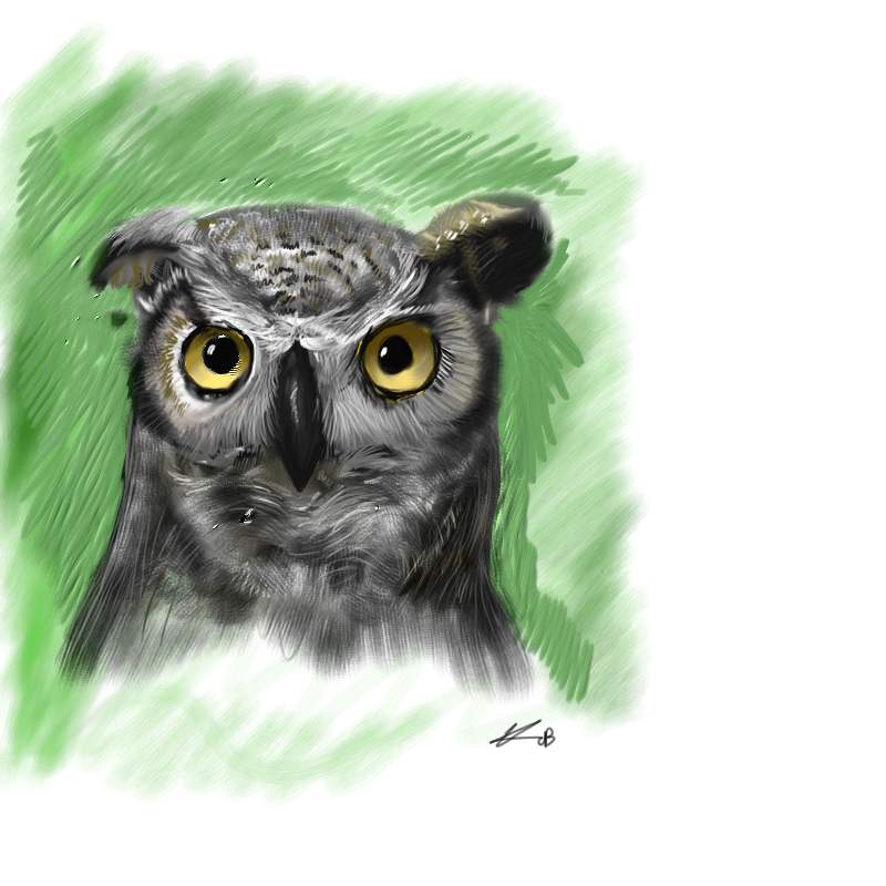 Owl