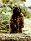 (picture)