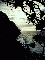 (picture)