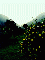 (picture)