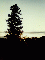 (picture)