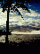 (picture)