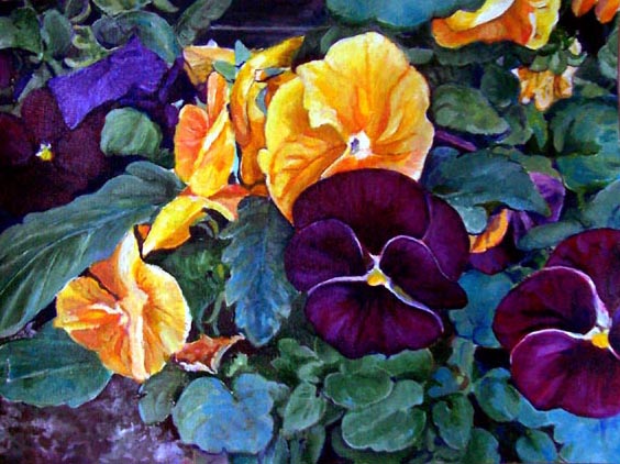 Pansies