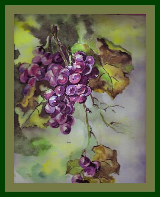 grapes