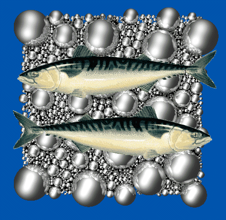 Mackerel