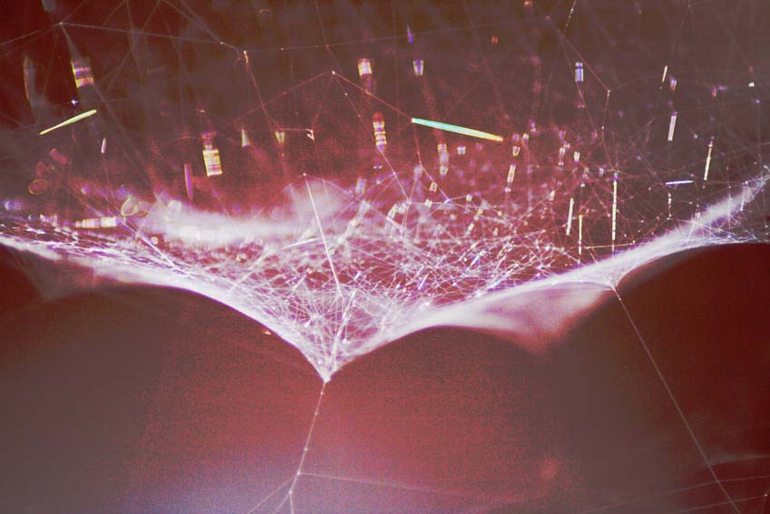 Web