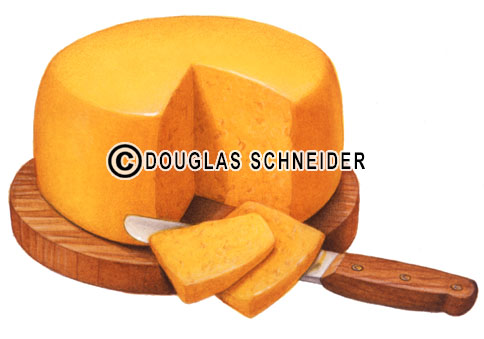 Cheddar