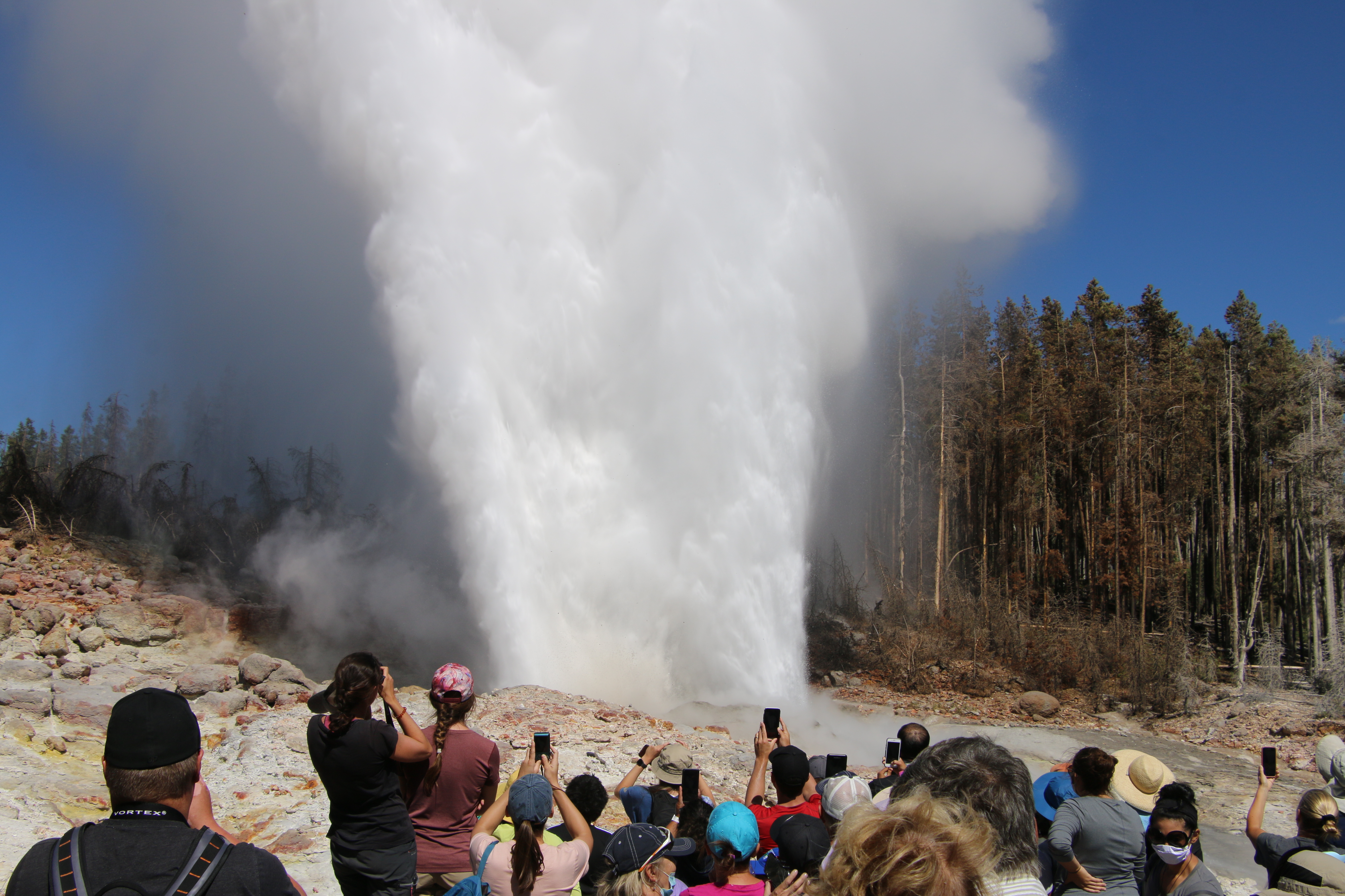 Yellowstone