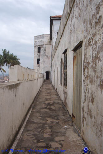 Elmina