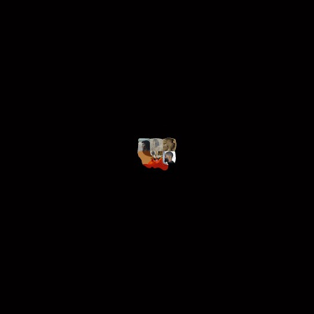 (level 4444)